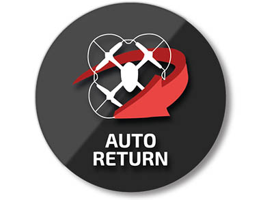 Auto return ninco, slot, radio control